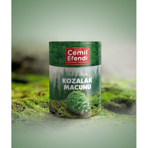 Kozalak Macunu 240 g